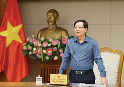 Phó Thủ tướng yêu cầu mở "chiến dịch ngày đêm" làm sạch dữ liệu đất đai
