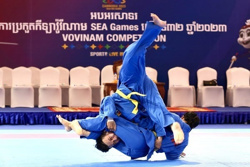 Việt Nam đề xuất đưa vovinam, vật, jujitsu vào SEA Games 34-2027