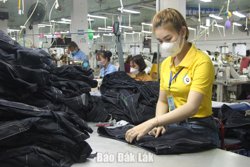 BPI và “sức khỏe” của kinh tế tư nhân