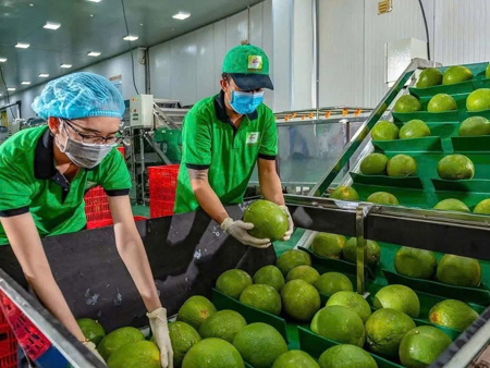 Ba 'tấm vé' mới cho nông sản Việt