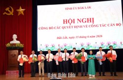 Công bố quyết định của Ban Thường vụ Tỉnh ủy và Chủ tịch UBND tỉnh về công tác cán bộ