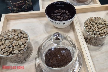 Giá cà phê hôm nay 17-6: Arabica bùng nổ, Robusta nối dài chuỗi tăng