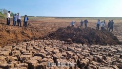 El Nino xuất hiện: Đắk Lắk đối mặt với nguy cơ hạn hán nghiêm trọng vào cuối năm