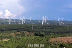 Để Đắk Lắk phát huy tiềm năng, lợi thế, đột phá phát triển về kinh tế - xã hội