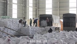 Siết chặt quản lý thuế đối với loại hình sản xuất, kinh doanh mặt hàng đường cát