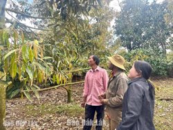 Toàn tỉnh phấn đấu giảm tỷ lệ hộ nghèo năm 2026 còn 2,13%