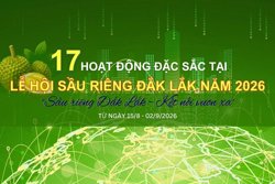 17 hoạt động đặc sắc tại Lễ hội Sầu riêng Đắk Lắk năm 2026