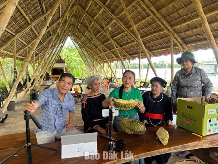 Sầu riêng Ea Knuếc bắt nhịp cuộc đua chuyển đổi số