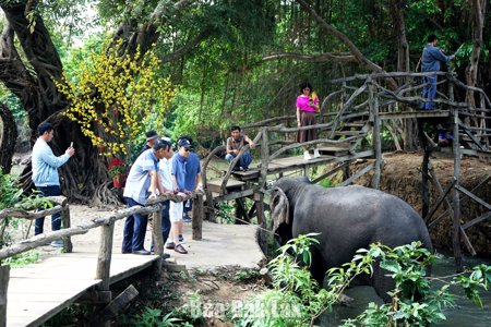 Kỳ vọng bứt phá từ sản phẩm du lịch khác biệt