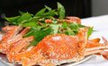 Vị ghẹ đầm Cù Mông