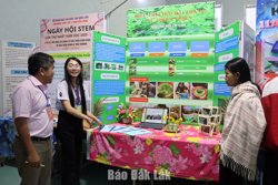 Hoàn thành hồ sơ nhập học THPT trước 17 giờ ngày 3/7