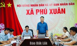 Sớm triển khai xây dựng và đưa Cụm công nghệp Krông Năng đi vào hoạt động