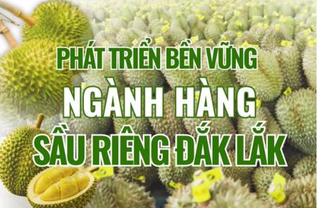 (Infographic) Phát triển bền vững ngành hàng sầu riêng Đắk Lắk