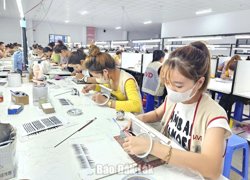 Khôi phục sức khỏe cho doanh nghiệp