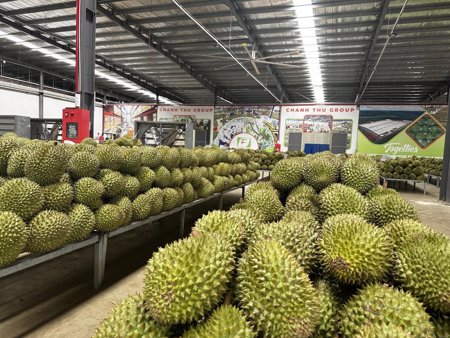 Đơn giản hóa cấp mã số vùng trồng: Tạo thuận lợi cho xuất khẩu nông sản