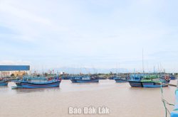 Đắk Lắk kiên quyết đình chỉ hoạt động cơ sở gây ô nhiễm biển