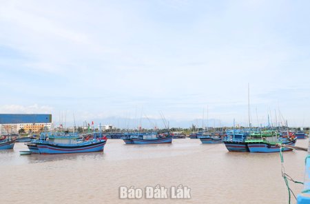 Đắk Lắk kiên quyết đình chỉ hoạt động cơ sở gây ô nhiễm biển