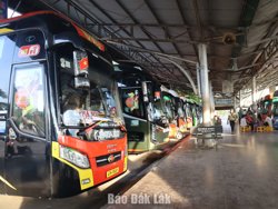 Đắk Lắk tăng cường quản lý giá cước vận tải khi giá nhiên liệu giảm