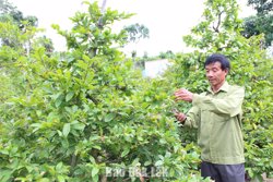 Cựu chiến binh gương mẫu