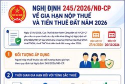 Gia hạn nộp thuế và tiền thuê đất năm 2026 theo Nghị định 245