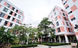 Nhà cho thuê, nhà ở giá phù hợp, mã định danh bất động sản đưa vào dự thảo luật