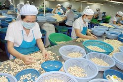 Làm chủ “sân chơi” bằng thương hiệu