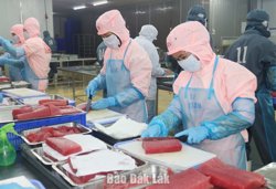 Công nghệ xanh - Chìa khóa tạo giá trị mới