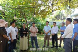 Du lịch Đắk Lắk: Nhận diện rào cản, tìm hướng đi bền vững