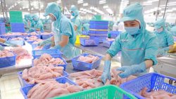 Giữa tháng 7, thu ngân sách nhà nước hoàn thành 65,5% dự toán
