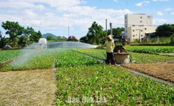 Linh hoạt chuyển đổi, thích ứng biến đổi khí hậu