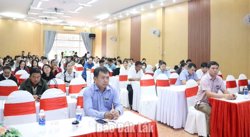 Tập huấn chuyên môn, nghiệp vụ về an toàn thực phẩm cho cán bộ tuyến cơ sở