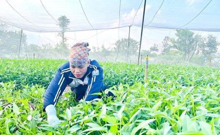 Gần 6 triệu xã viên sẽ được hưởng nhiều chính sách hỗ trợ