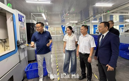 Khi FDI không chỉ là dòng vốn