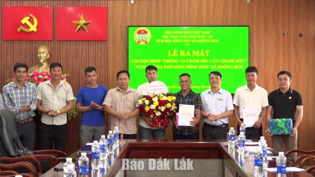 Xã Krông Búk: Phát triển nông nghiệp bền vững