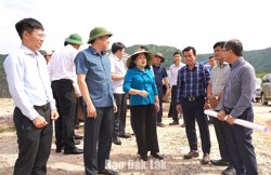 Triển khai Luật Đất đai năm 2024: Nhiều vướng mắc cần được tháo gỡ