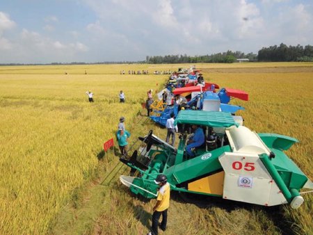 Cơ giới hóa nông nghiệp – đòn bẩy nâng giá trị xuất khẩu nông sản