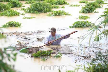 Đẩy mạnh thực hiện Kết luận của Ban Bí thư về tăng cường công tác phòng, chống thiên tai