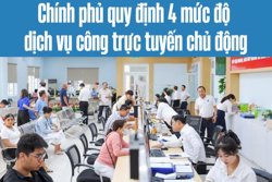 Chính phủ quy định 4 mức độ dịch vụ công trực tuyến chủ động