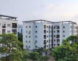 Để người thu nhập thấp có cơ hội an cư