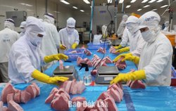 Đánh thức tiềm năng