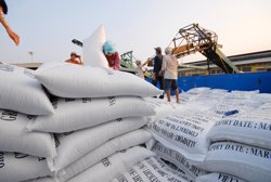Ngành gạo trước cơ hội nâng cao giá trị