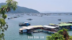 Mở lối cho động lực tăng trưởng mới