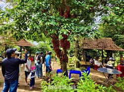 Nền tảng cho chặng đường phát triển mới ở Vân Hòa
