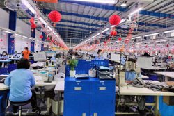 Thị trường lao động bước vào cuộc sàng lọc kỹ năng