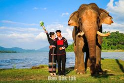 Vùng đất Voi... (Kỳ 2)