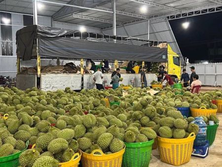 Gỡ điểm nghẽn để xuất khẩu nông, lâm, thủy sản về đích