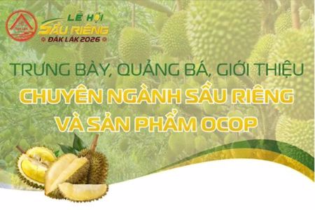 Trưng bày, quảng bá, giới thiệu chuyên ngành sầu riêng và sản phẩm OCOP