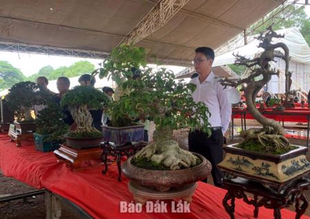 Khai mạc triển lãm sinh vật cảnh tỉnh Đắk Lắk năm 2026
