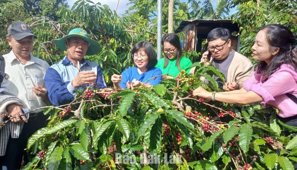 Trải nghiệm xanh - hướng đi mới của du lịch cộng đồng Ðắk Lắk