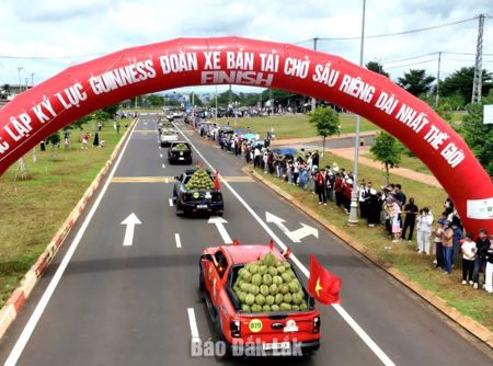 Lễ hội Sầu riêng Đắk Lắk năm 2026: Mở không gian trải nghiệm và giao thương